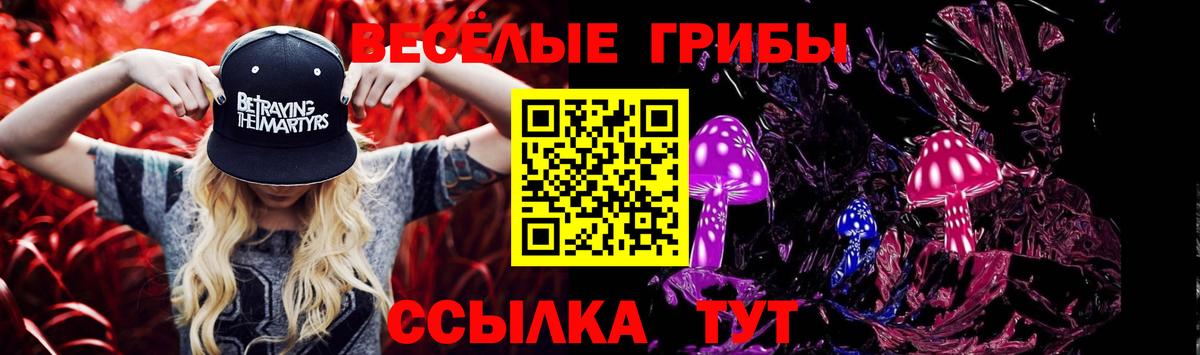 Псилоцибиновые грибы GOLDEN TEACHER  Вход с VPN  Губкин 